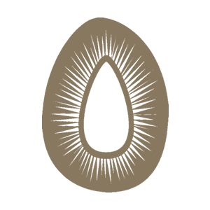 Fruto do Pequi - Iconografia do Tocantins